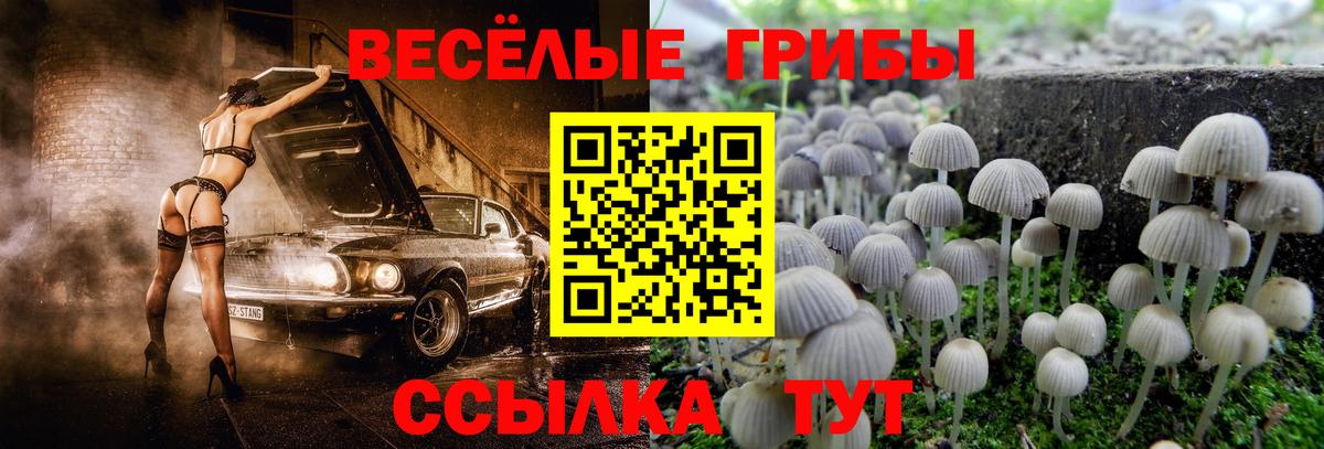 Псилоцибиновые грибы мухоморы Кисловодск